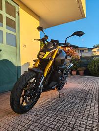FB Mondial Piega 452