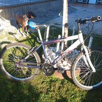 BICICLETTA MBK da ragazzo 