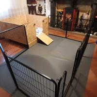 BOX PARTO / NURSERY PER CANI MEDIO GRANDI 