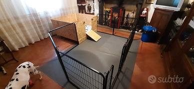BOX PARTO / NURSERY PER CANI MEDIO GRANDI 
