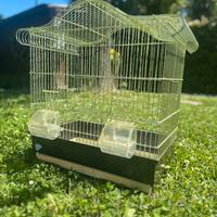Gabbietta per uccellini