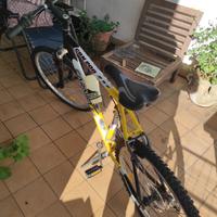 Bici MTB Carinelli