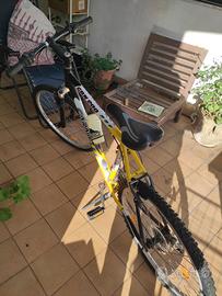 Bici MTB Carinelli