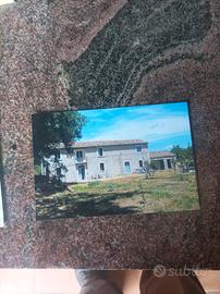 casa e terreno 