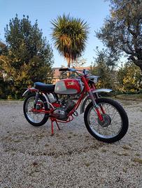 Moto Morini Corsarino Srambler 50