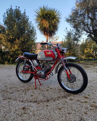 Moto Morini Corsarino Srambler 50