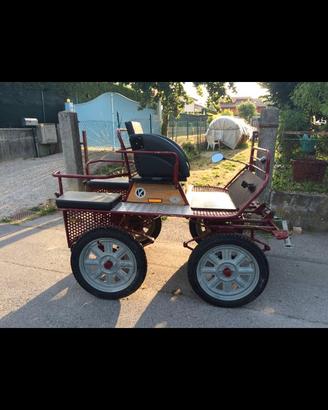 Carrozza maratona