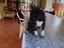 Immagine 4