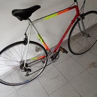 bicicletta uomo poccianti 28