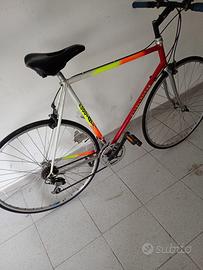 bicicletta uomo poccianti 28