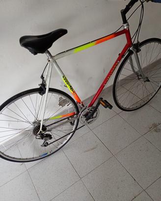 bicicletta uomo poccianti 28