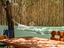 Immagine 29