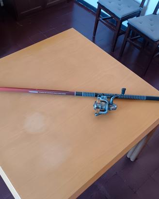 canna da pesca 