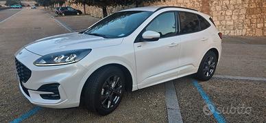 Ford Kuga Stl Line 2.5 Fhev 190 cv   