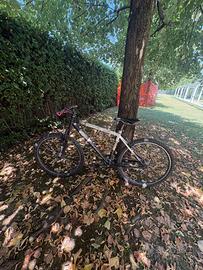 Mountain bike