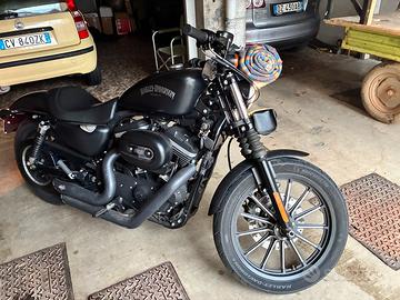 Harley davidson 883 iron