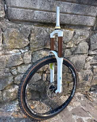Forcella mtb disco cerchio gomma