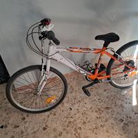 bici ragazzo cambio shimano ruote telaio olimpiadi