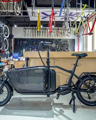 Bici elettrica cargo bike