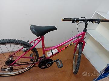 Bici Olmo