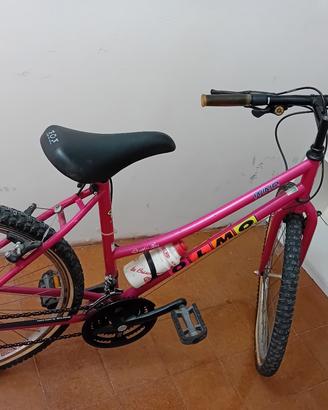 Bici Olmo