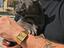 Immagine 1
