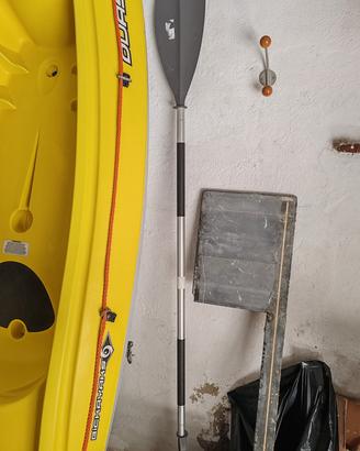 kayak