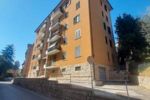 Perugia Appartamento per studenti