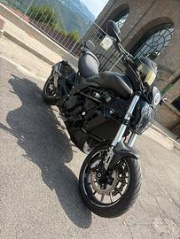 Benelli 502 c