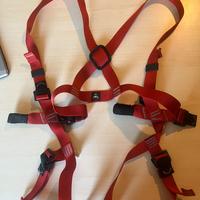 Imbrago scalata Camp