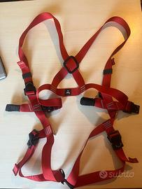 Imbrago scalata Camp