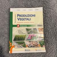 produzioni vegetali A erbacee