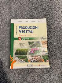 produzioni vegetali A erbacee