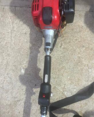 Decespugliatore Robin 25