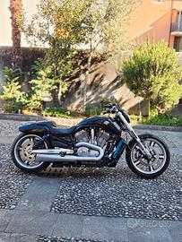 harley davidson v rod muscle 