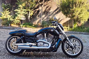 harley davidson v rod muscle 