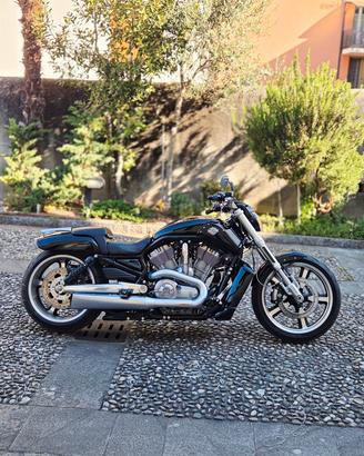 harley davidson v rod muscle 