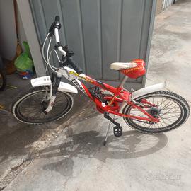 Bicicletta da Ragazzo