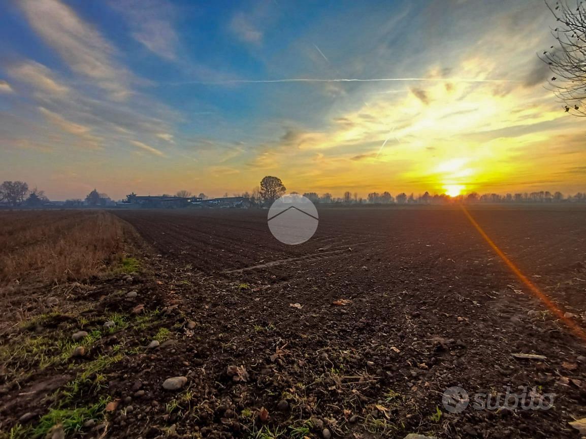 TER. AGRICOLO A CARAVAGGIO - Vista 4