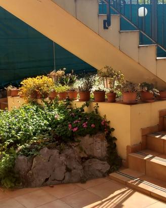 Eventuale proposta di permuta