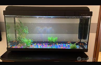Acquario 100 litri