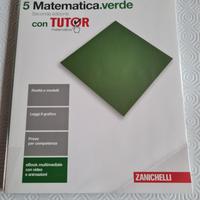 Matematica verde 5