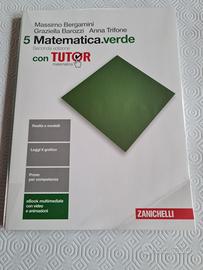 Matematica verde 5