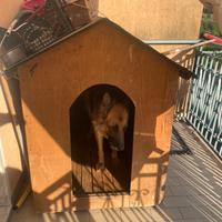 Cuccia per cani grandi