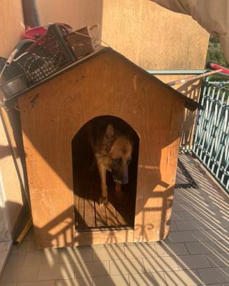 Cuccia per cani grandi
