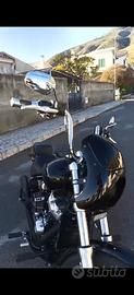 cupolino harley