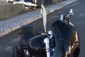cupolino harley
