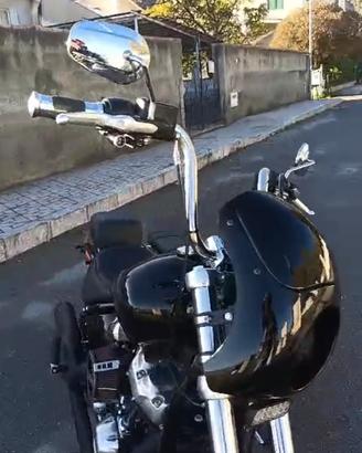 cupolino harley