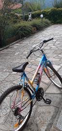 Bicicletta donna 