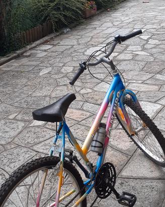 Bicicletta donna 